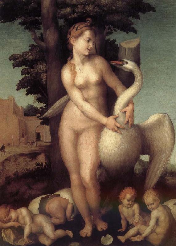 Andrea del Sarto Lida and the Swan